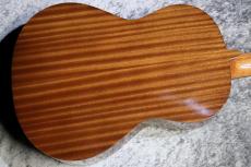 Paco Castillo / パコ・カスティージョ 【ソフトケースサービス】201 7/8 杉 635mm #2318 【ショートスケール】【現物写真】【池袋店在庫品】_11