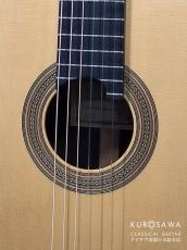 西野春平 (Nishino Shunpei) 2011年製 TYPE 40 松・ローズウッド【日本総本店2F 在庫品】_3