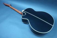 Takamine TDP500-6 BL / Limited Model・Single Head (One Side Head)・Solid Spruce Top・Sapele Side・Solid Sapele Back・Abalone Rosette・Mahogany Neck・With Pre amp CTP-3(TDP)【With Original Hard Case】2018年製_7