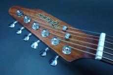 Takamine TDP500-6 BL / Limited Model・Single Head (One Side Head)・Solid Spruce Top・Sapele Side・Solid Sapele Back・Abalone Rosette・Mahogany Neck・With Pre amp CTP-3(TDP)【With Original Hard Case】2018年製_9