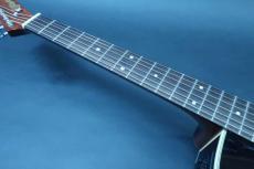 Takamine TDP500-6 BL / Limited Model・Single Head (One Side Head)・Solid Spruce Top・Sapele Side・Solid Sapele Back・Abalone Rosette・Mahogany Neck・With Pre amp CTP-3(TDP)【With Original Hard Case】2018年製_10