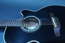 Takamine TDP500-6 BL / Limited Model・Single Head (One Side Head)・Solid Spruce Top・Sapele Side・Solid Sapele Back・Abalone Rosette・Mahogany Neck・With Pre amp CTP-3(TDP)【With Original Hard Case】2018年製_13