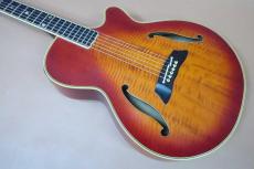 Takamine NPT-115-6(T.N) / Single Side Head・Original Gold peg・Flame Maple Arched Top Flame Maple Side and Flame Maple Arched Back・Ebony fingerboard・f-Sound Hole・With Original NPT ”赤-Pre”Pickup【With Original Har_3