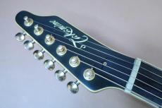 Takamine NPT-115-6(T.N) / Single Side Head・Original Gold peg・Flame Maple Arched Top Flame Maple Side and Flame Maple Arched Back・Ebony fingerboard・f-Sound Hole・With Original NPT ”赤-Pre”Pickup【With Original Har_8