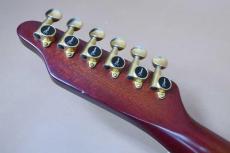 Takamine NPT-115-6(T.N) / Single Side Head・Original Gold peg・Flame Maple Arched Top Flame Maple Side and Flame Maple Arched Back・Ebony fingerboard・f-Sound Hole・With Original NPT ”赤-Pre”Pickup【With Original Har_10