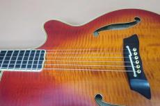 Takamine NPT-115-6(T.N) / Single Side Head・Original Gold peg・Flame Maple Arched Top Flame Maple Side and Flame Maple Arched Back・Ebony fingerboard・f-Sound Hole・With Original NPT ”赤-Pre”Pickup【With Original Har_12