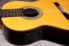 Juan Hernandez 【特典有】Profesor Flamenca Negra w/P.U 松 / ローズ 【虎杢バック】【池袋店在庫品】_6