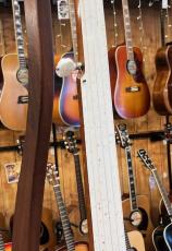 James Decava Fred Cockerham Model Fretless Banjo_5