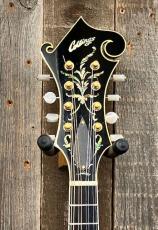 Collings MF-5 Varnish "Fern" 2016_6