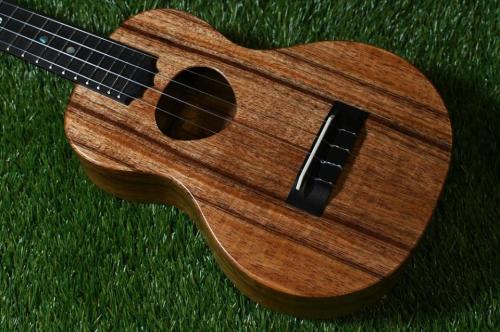 KoAloha KCM-10/UPT Pikake Concert