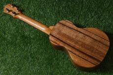 KoAloha KCM-10/UPT Pikake Concert_3