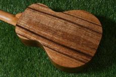 KoAloha KCM-10/UPT Pikake Concert_4