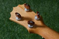 KoAloha KCM-10/UPT Pikake Concert_6