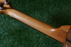 KoAloha KCM-10/UPT Pikake Concert_8