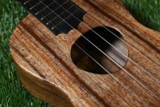 KoAloha KCM-10/UPT Pikake Concert_9