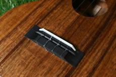 KoAloha KCM-10/UPT Pikake Concert_11