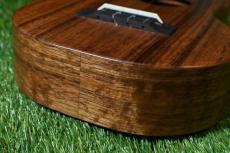 KoAloha KCM-10/UPT Pikake Concert_12