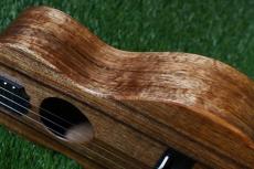 KoAloha KCM-10/UPT Pikake Concert_14