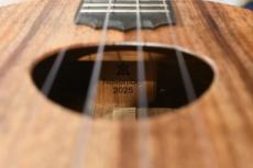 KoAloha KCM-10/UPT Pikake Concert_15