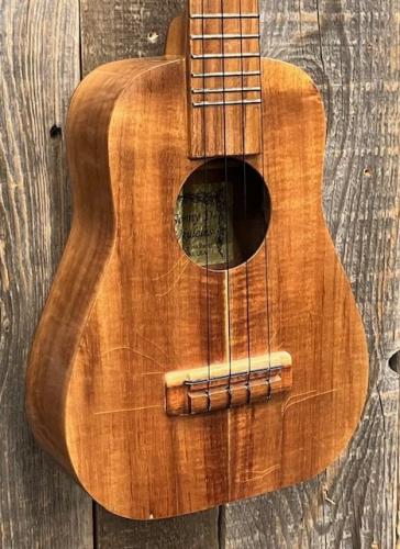 Sonny-D Concert Longneck