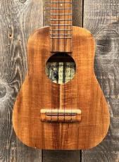 Sonny-D Concert Longneck_3