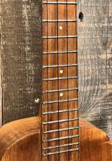 Sonny-D Concert Longneck_4