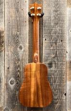 Sonny-D Concert Longneck_7