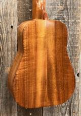 Sonny-D Concert Longneck_8