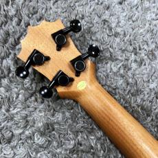 Koalana KCA-10SP Concert【コンサートサイズ】_6