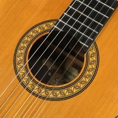 LA ESPERANZA Class SS Professional w/Passive Pickup【中古品 ビンテージ】【日本製】_4
