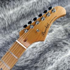Bacchus BTE-1DX RSM/M French Green Metallic_3