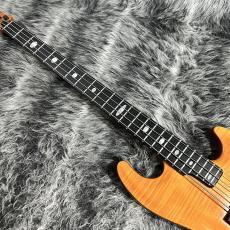 ALEMBIC AJ-II-JB_4