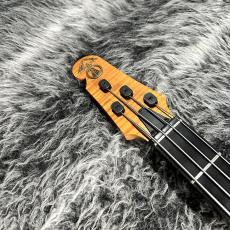 ALEMBIC AJ-II-JB_5