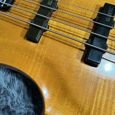 ALEMBIC AJ-II-JB_7