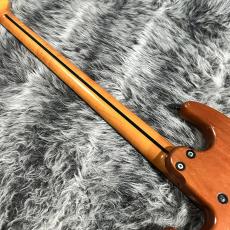 ALEMBIC AJ-II-JB_9