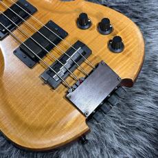 ALEMBIC AJ-II-HB_2