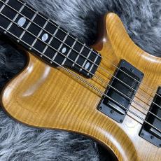 ALEMBIC AJ-II-HB_3