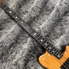 ALEMBIC AJ-II-HB_4