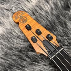 ALEMBIC AJ-II-HB_5
