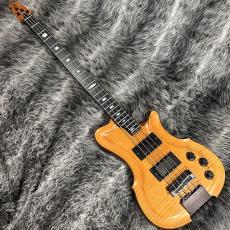 ALEMBIC AJ-II-HB_6
