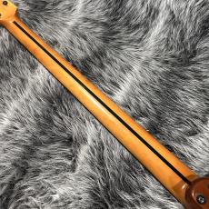 ALEMBIC AJ-II-HB_8