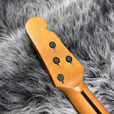 ALEMBIC AJ-II-HB_9
