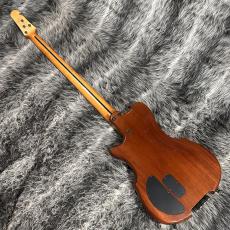 ALEMBIC AJ-II-HB_10