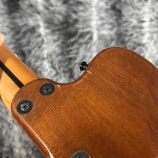 ALEMBIC AJ-II-HB_11