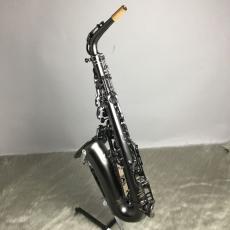 CannonBall A5B iceB アルトサックス BIG BELL STONE SERIES_8