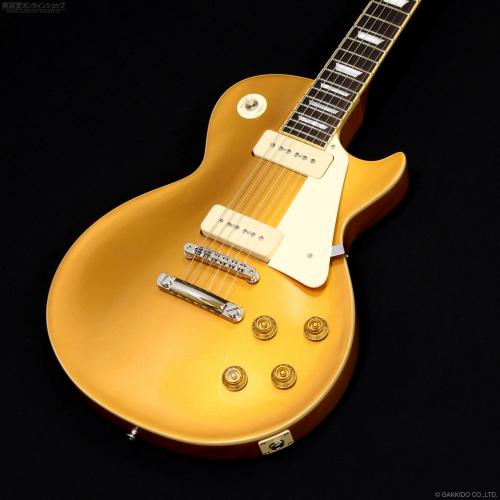 Edwards E-LP-STD/P [GOLD]