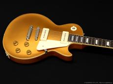 Edwards E-LP-STD/P [GOLD]_3