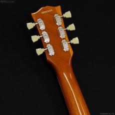 Edwards E-LP-STD/P [GOLD]_6