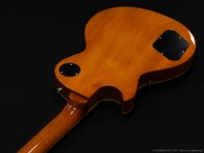 Edwards E-LP-STD/P [GOLD]_7