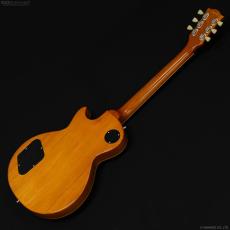 Edwards E-LP-STD/P [GOLD]_8